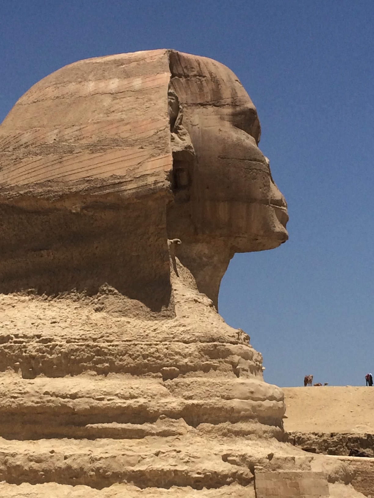 Sphinx of Giza, Giza, Egypt — photo 8 of 12
