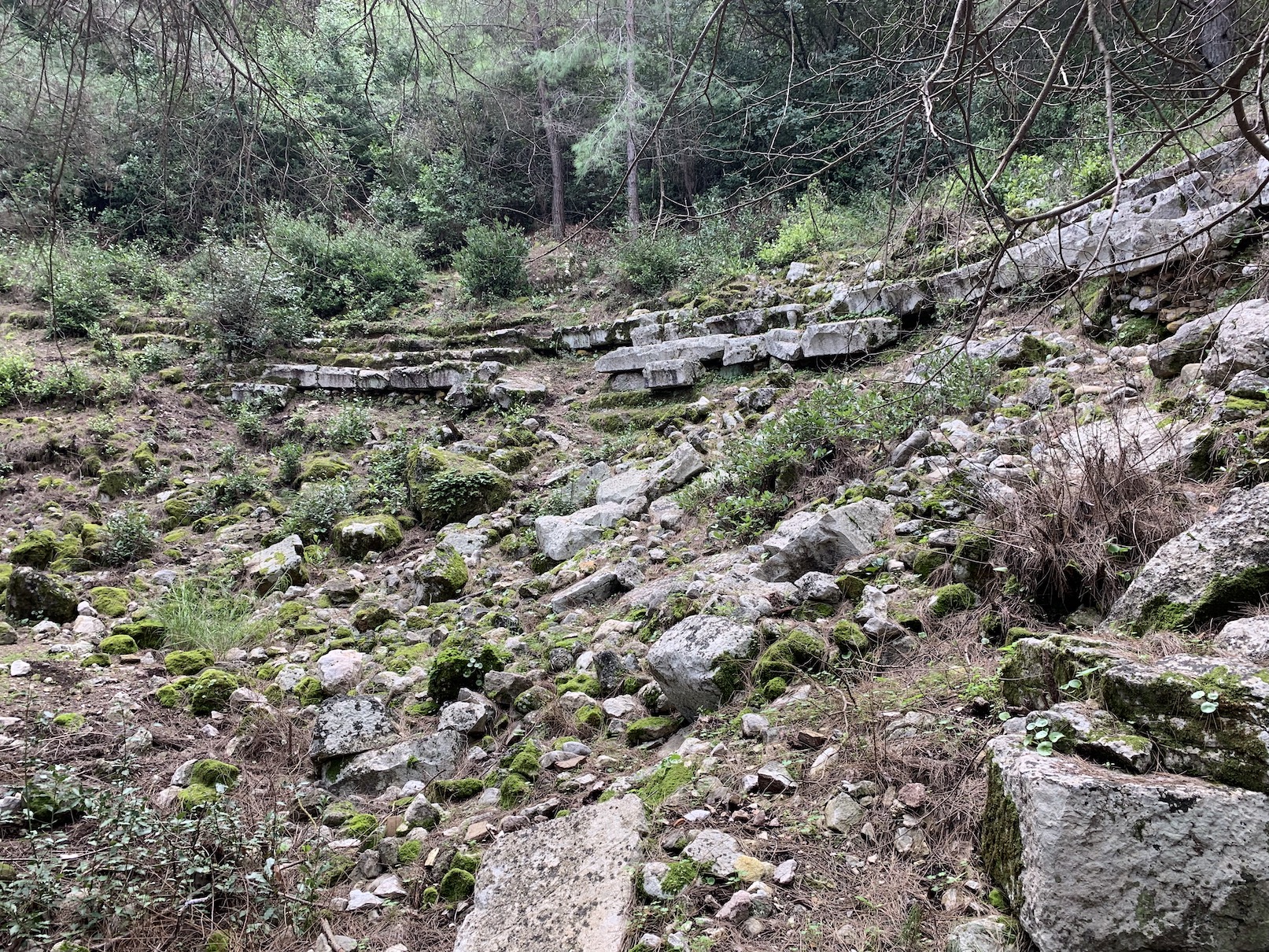Olympos, Antalya, Turkey — photo 18 of 22